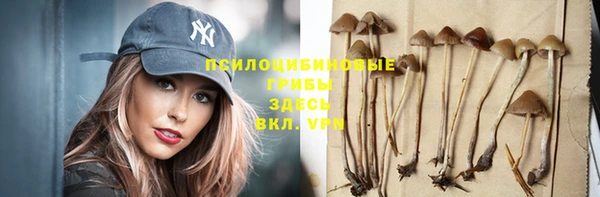 PSILOCYBIN Бугульма